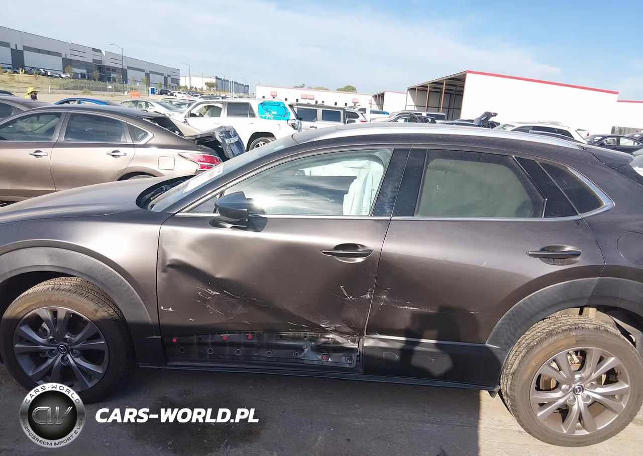 2021 Mazda Cx-30 Premium VIN:3MVDMBDL0MM249745 - 13