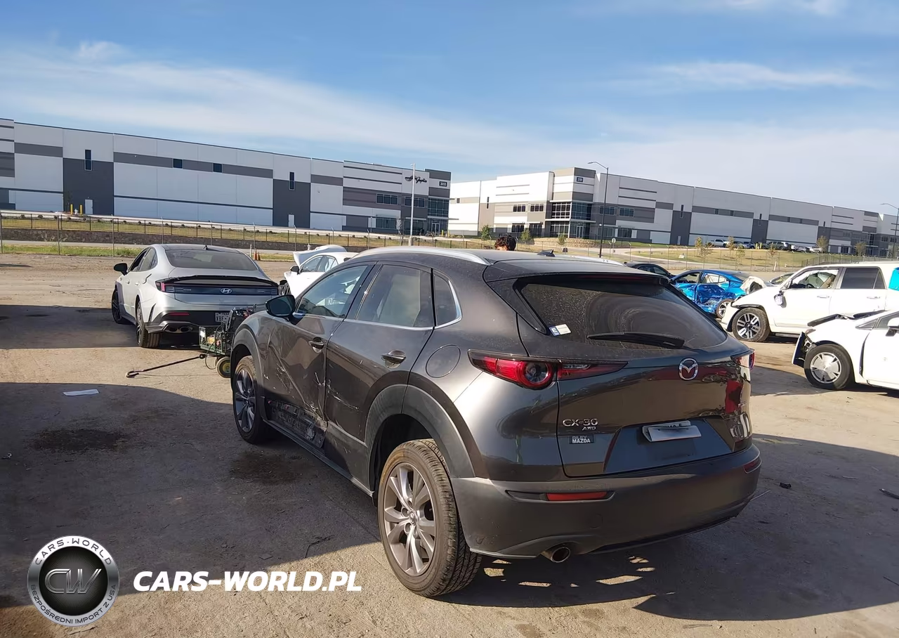 2021 Mazda Cx-30 Premium VIN:3MVDMBDL0MM249745 - 3