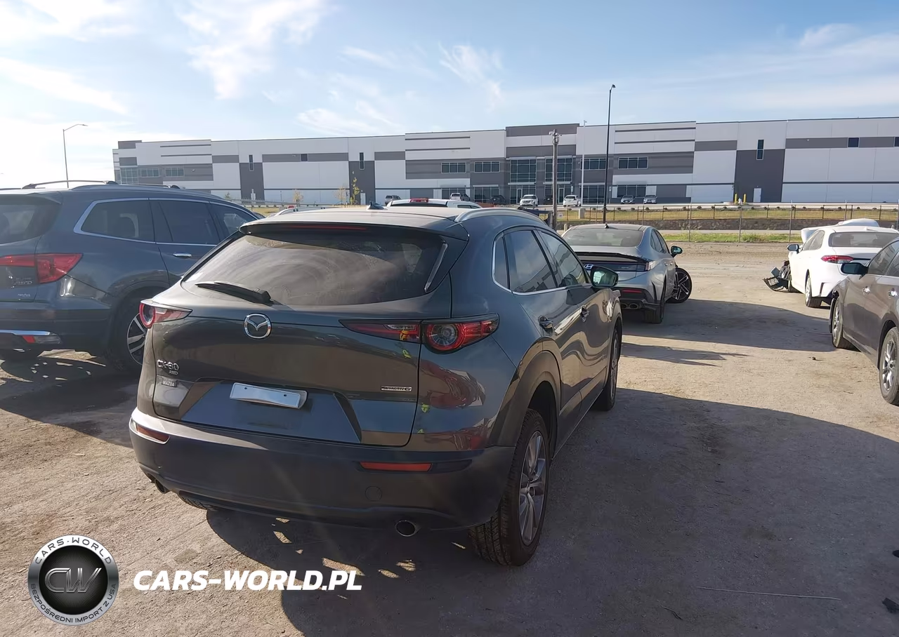 2021 Mazda Cx-30 Premium VIN:3MVDMBDL0MM249745 - 4
