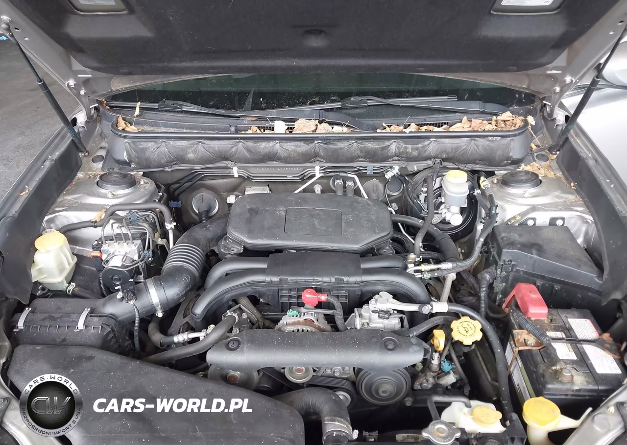 2010 Subaru Outback 2.5I Limited VIN:4S4BRCKC1A3359828 - 10