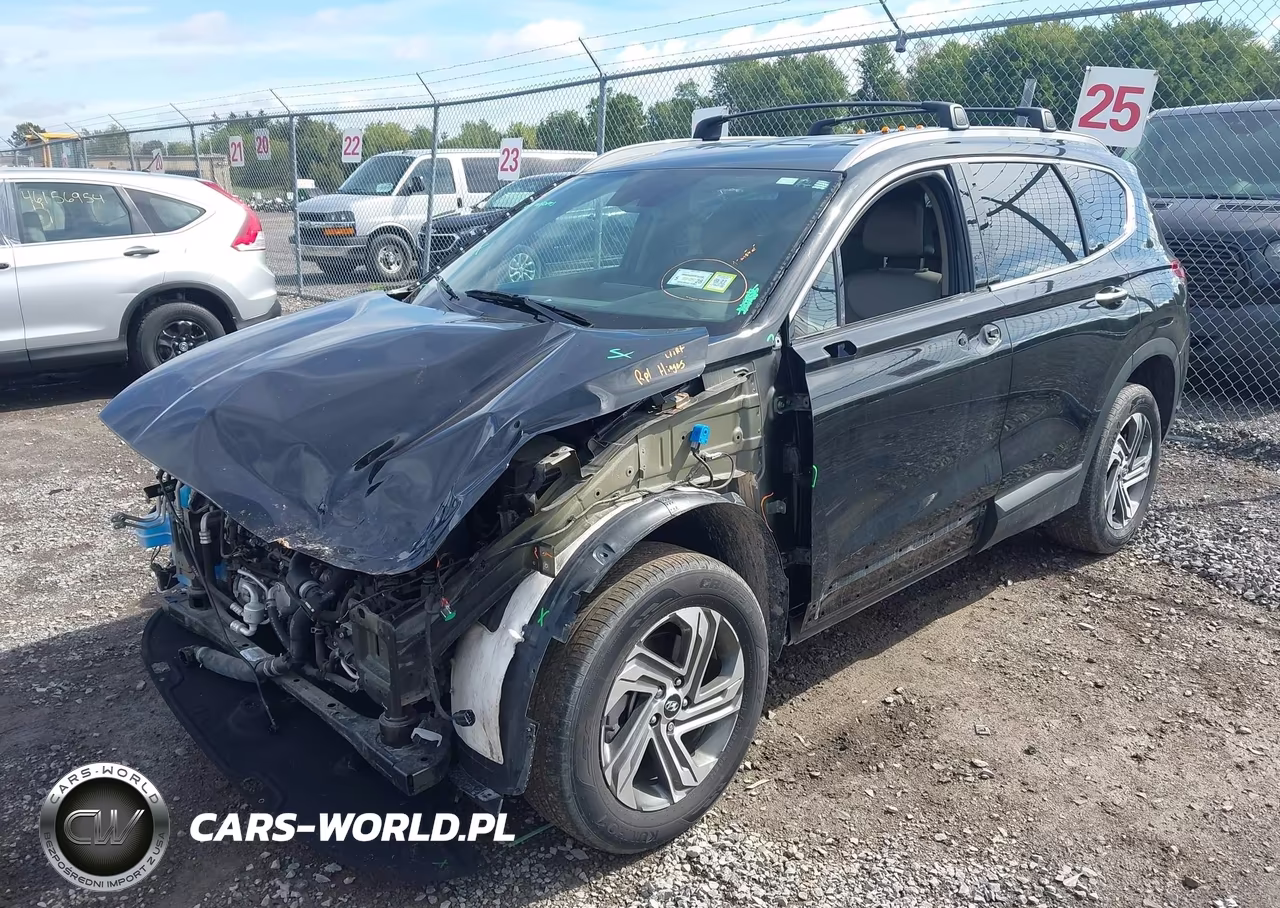 2023 Hyundai Santa Fe Sel VIN:5NMS2DAJ1PH634395 - 2