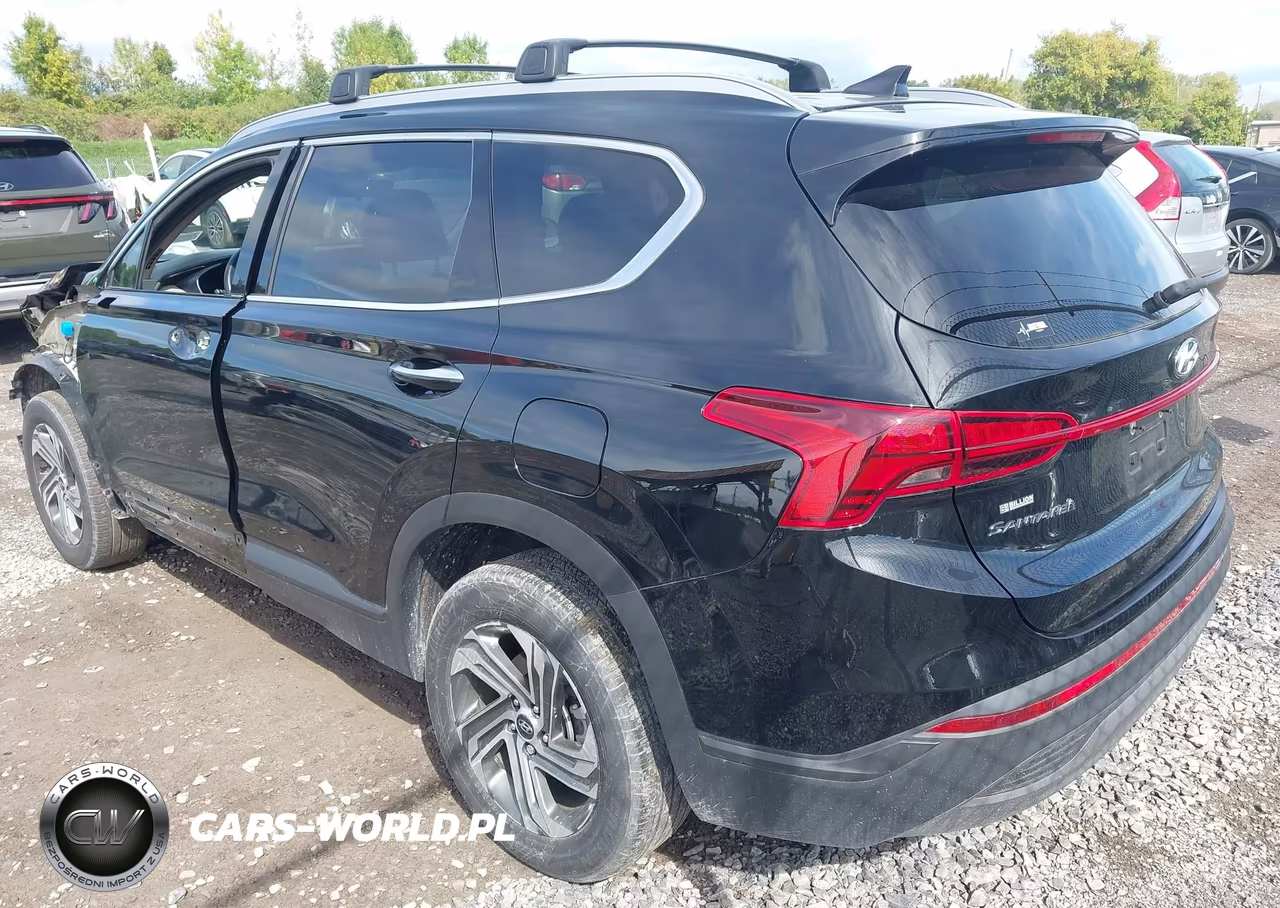 2023 Hyundai Santa Fe Sel VIN:5NMS2DAJ1PH634395 - 3
