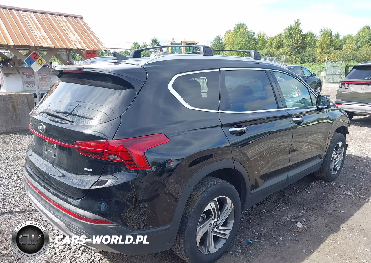 2023 Hyundai Santa Fe Sel VIN:5NMS2DAJ1PH634395 - 4