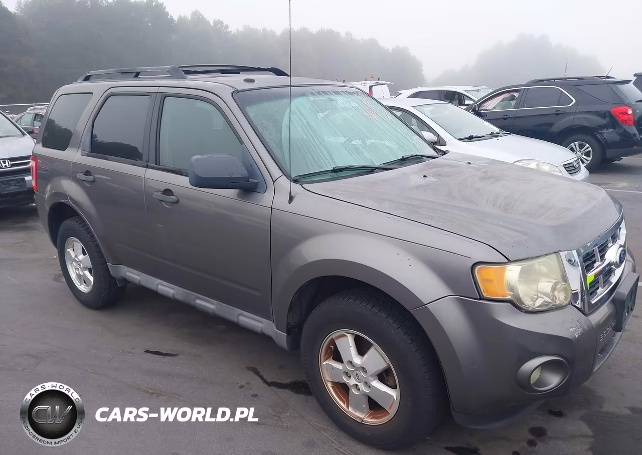 2010 Ford Escape Xlt