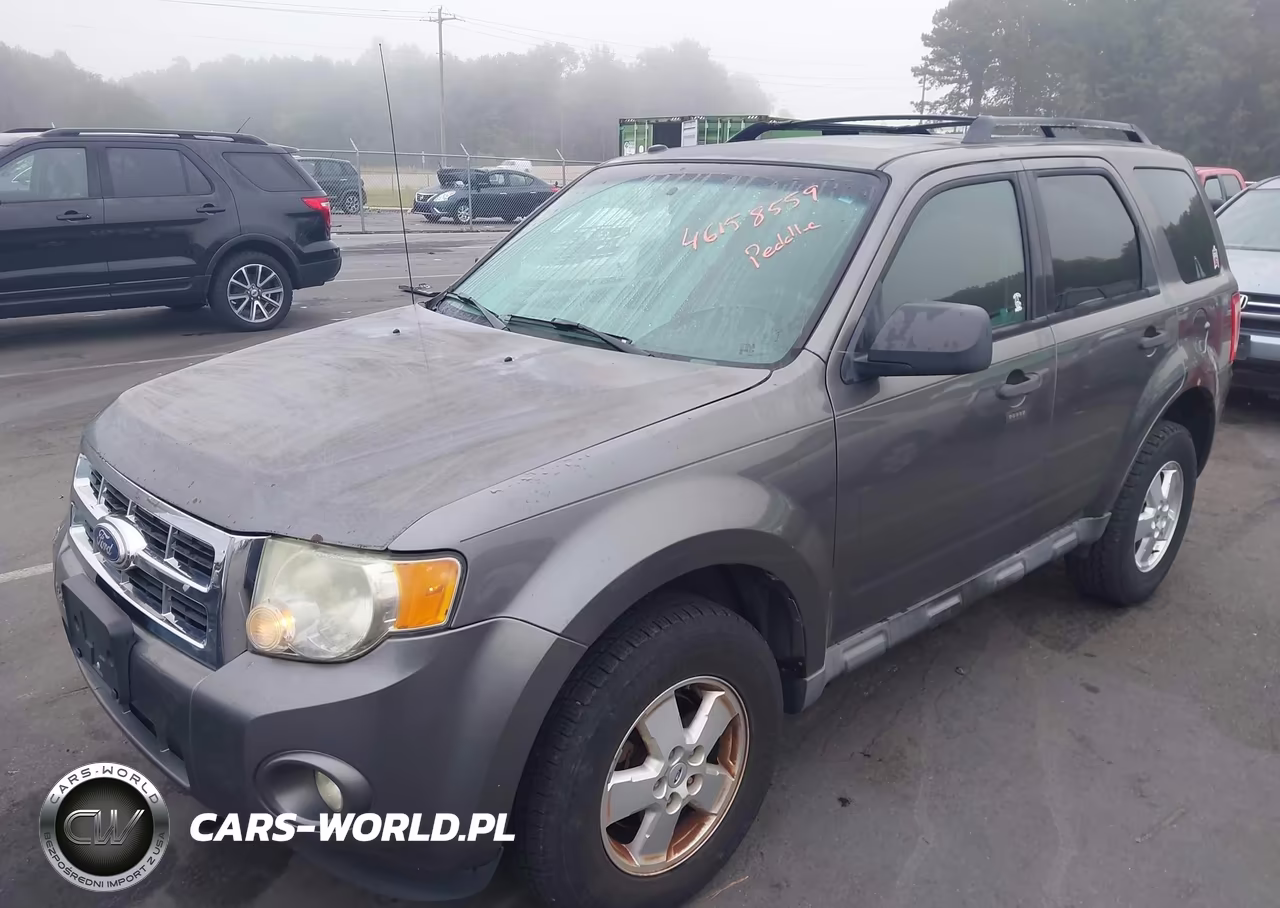 2010 Ford Escape Xlt VIN:1FMCU0DG7AKD30440 - 2