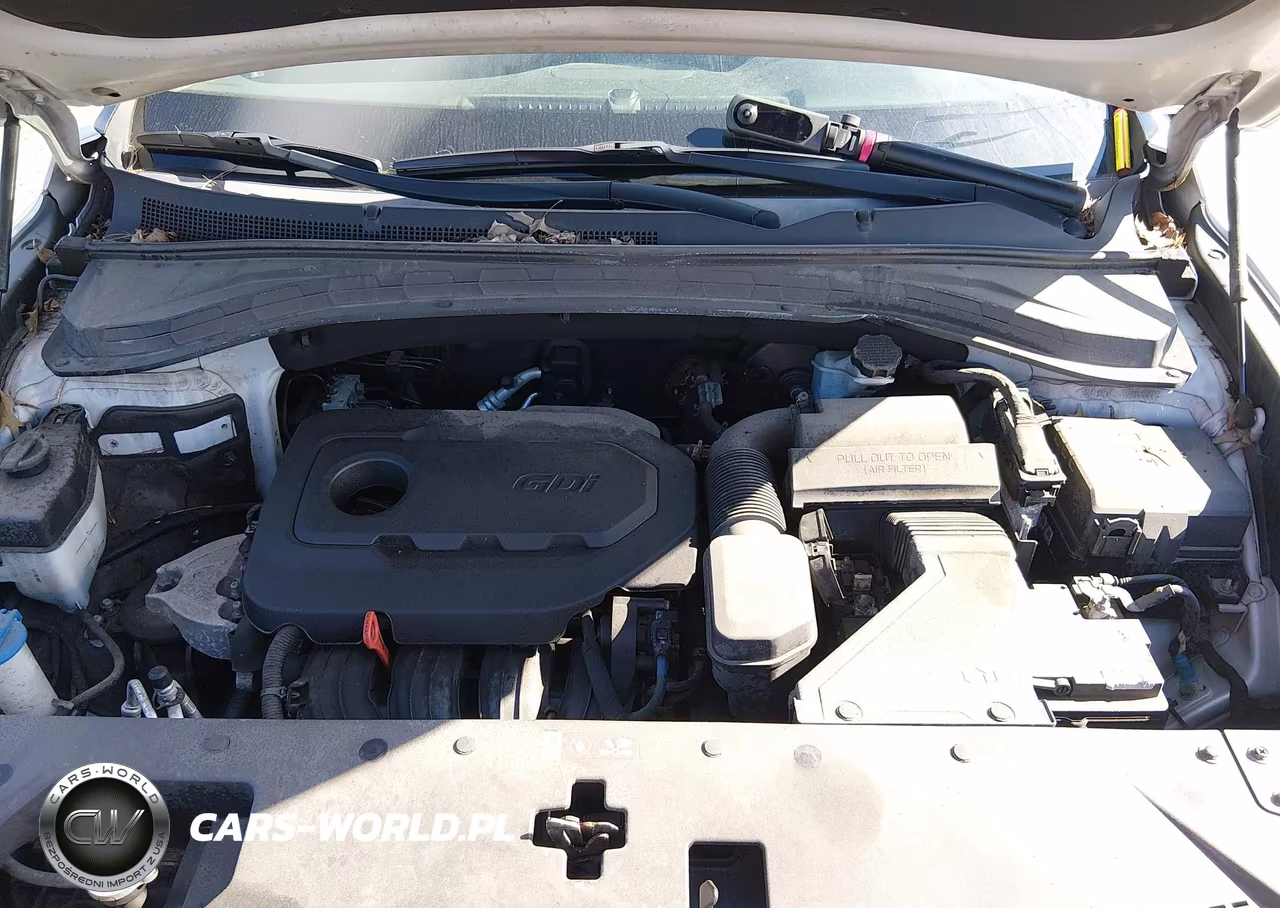 2020 Hyundai Santa Fe Sel VIN:5NMS3CAD7LH143373 - 10