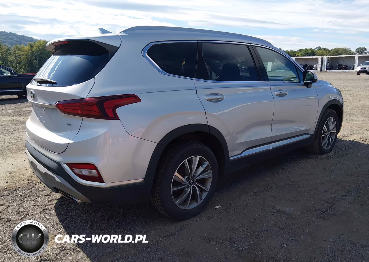 2020 Hyundai Santa Fe Sel VIN:5NMS3CAD7LH143373 - 4