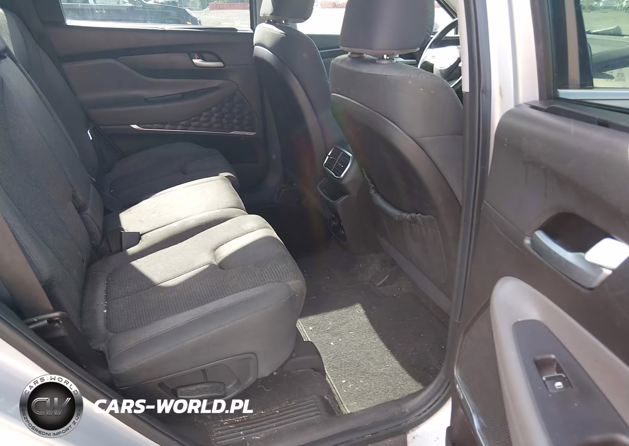 2020 Hyundai Santa Fe Sel VIN:5NMS3CAD7LH143373 - 8