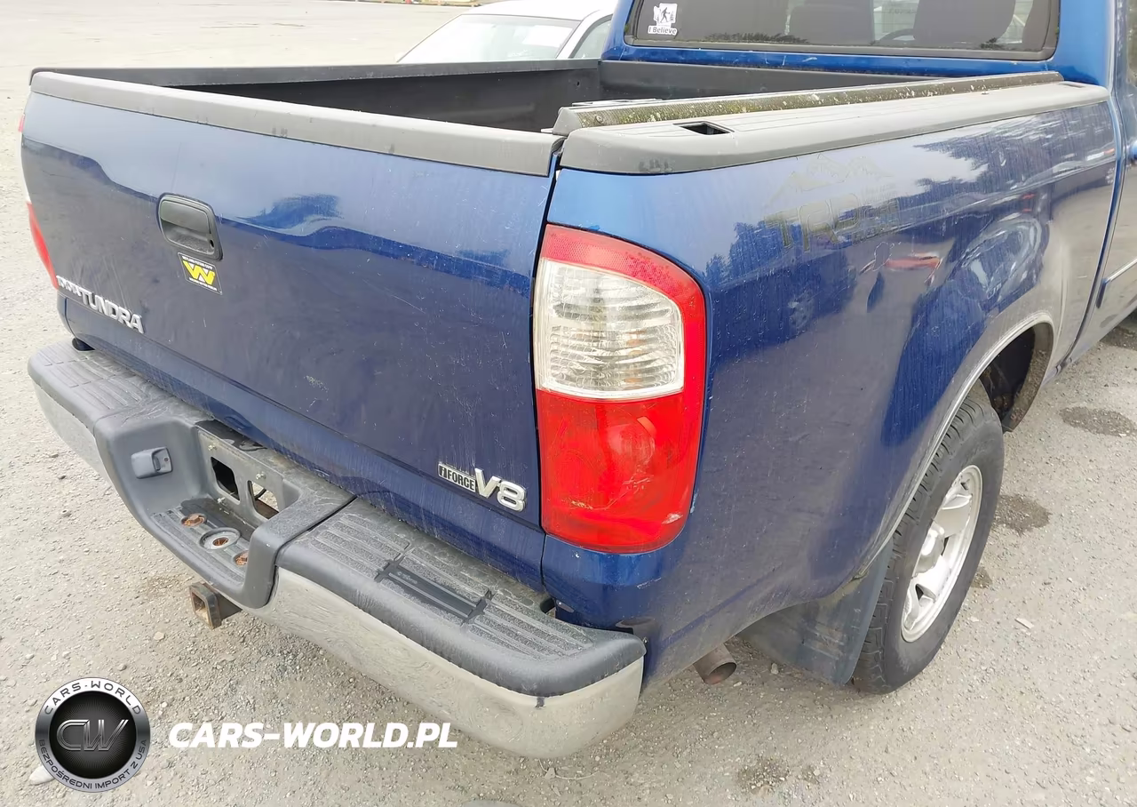 2006 Toyota Tundra Sr5 V8 VIN:5TBET341X6S534381 - 19