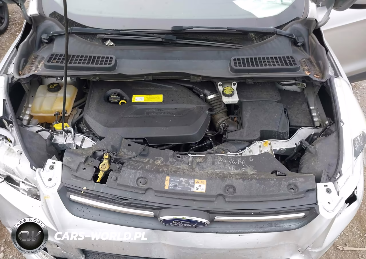 2015 Ford Escape Se VIN:1FMCU0GXXFUB04755 - 10