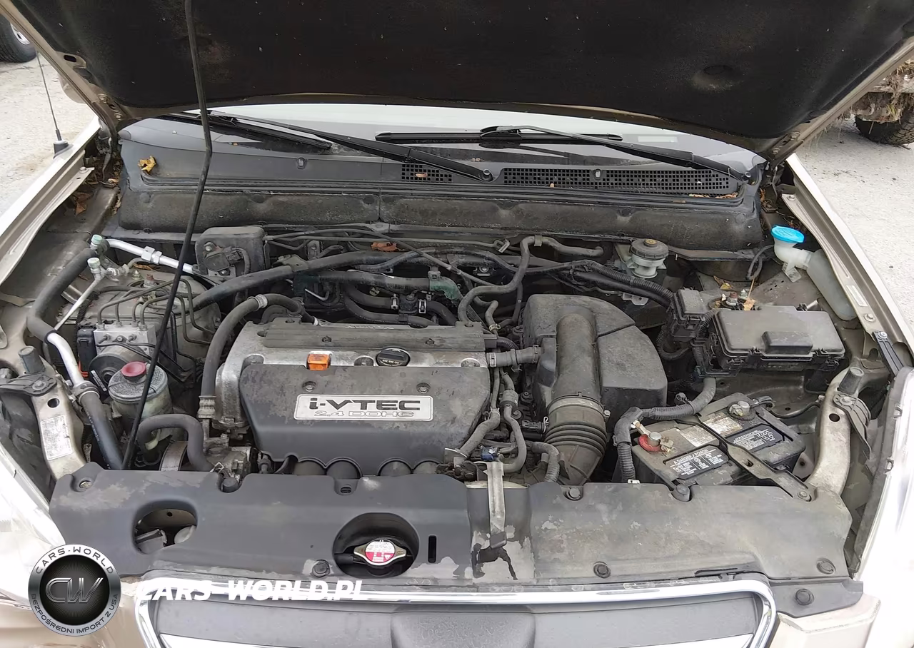 2006 Honda Cr-V Se VIN:JHLRD78996C047898 - 10