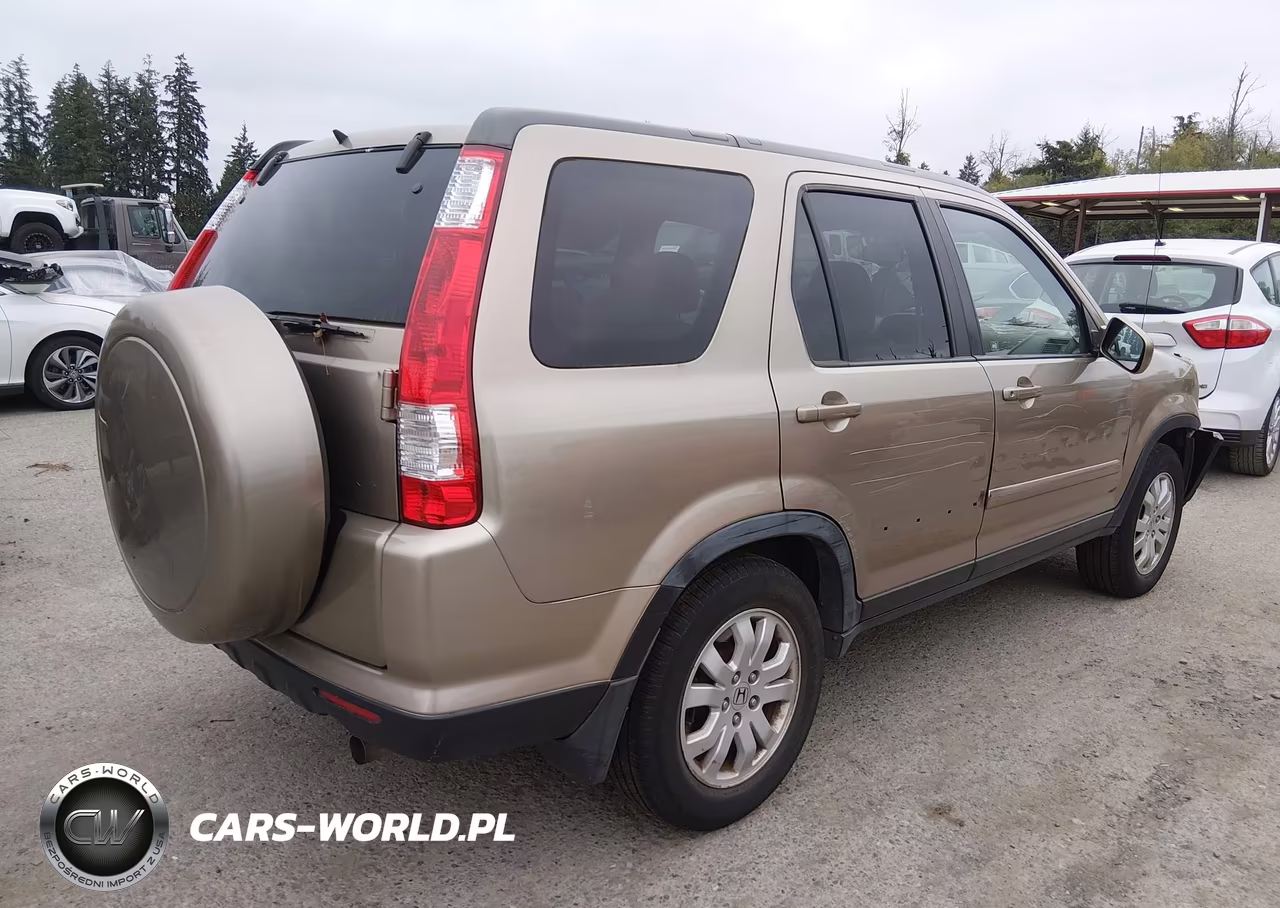 2006 Honda Cr-V Se VIN:JHLRD78996C047898 - 4