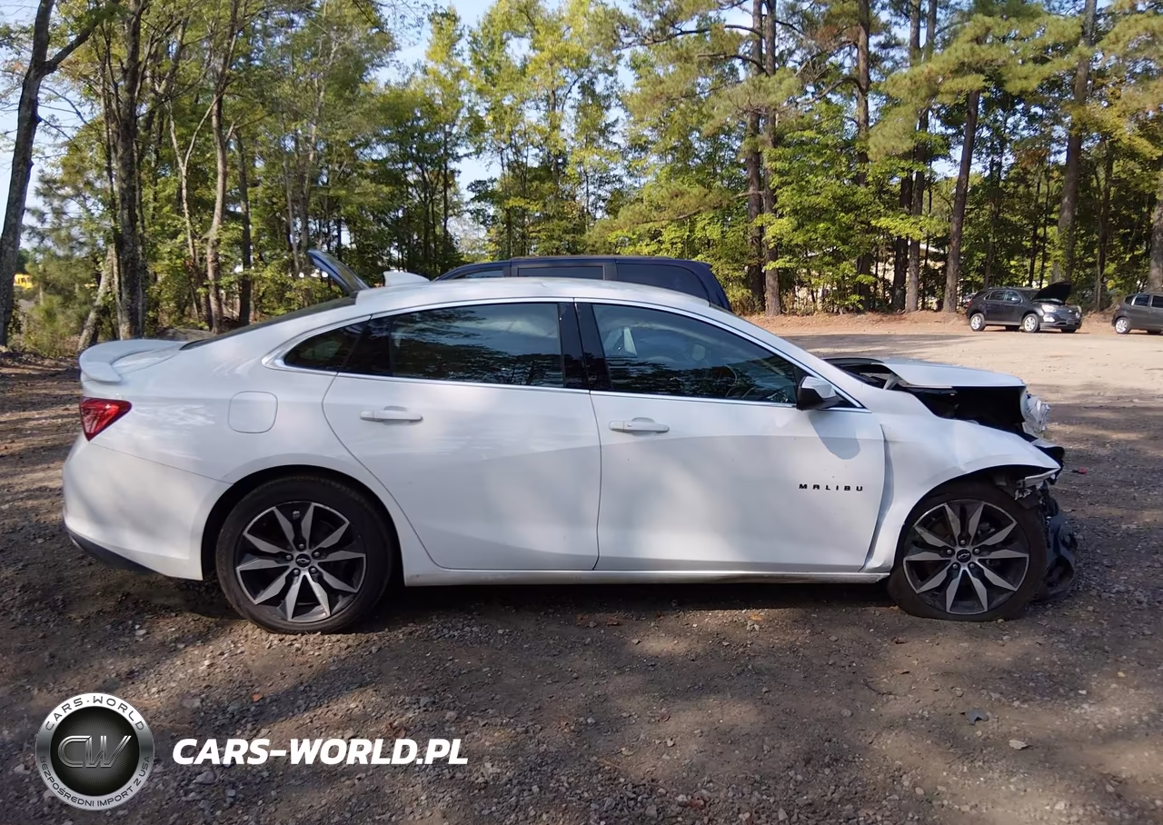2020 Chevrolet Malibu Fwd Rs VIN:1G1ZG5ST1LF141855 - 13