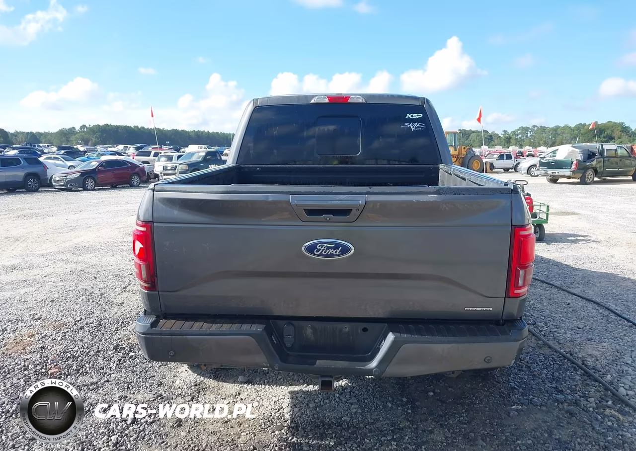 2015 Ford F-150 Lariat VIN:1FTEW1EF9FKE47219 - 17