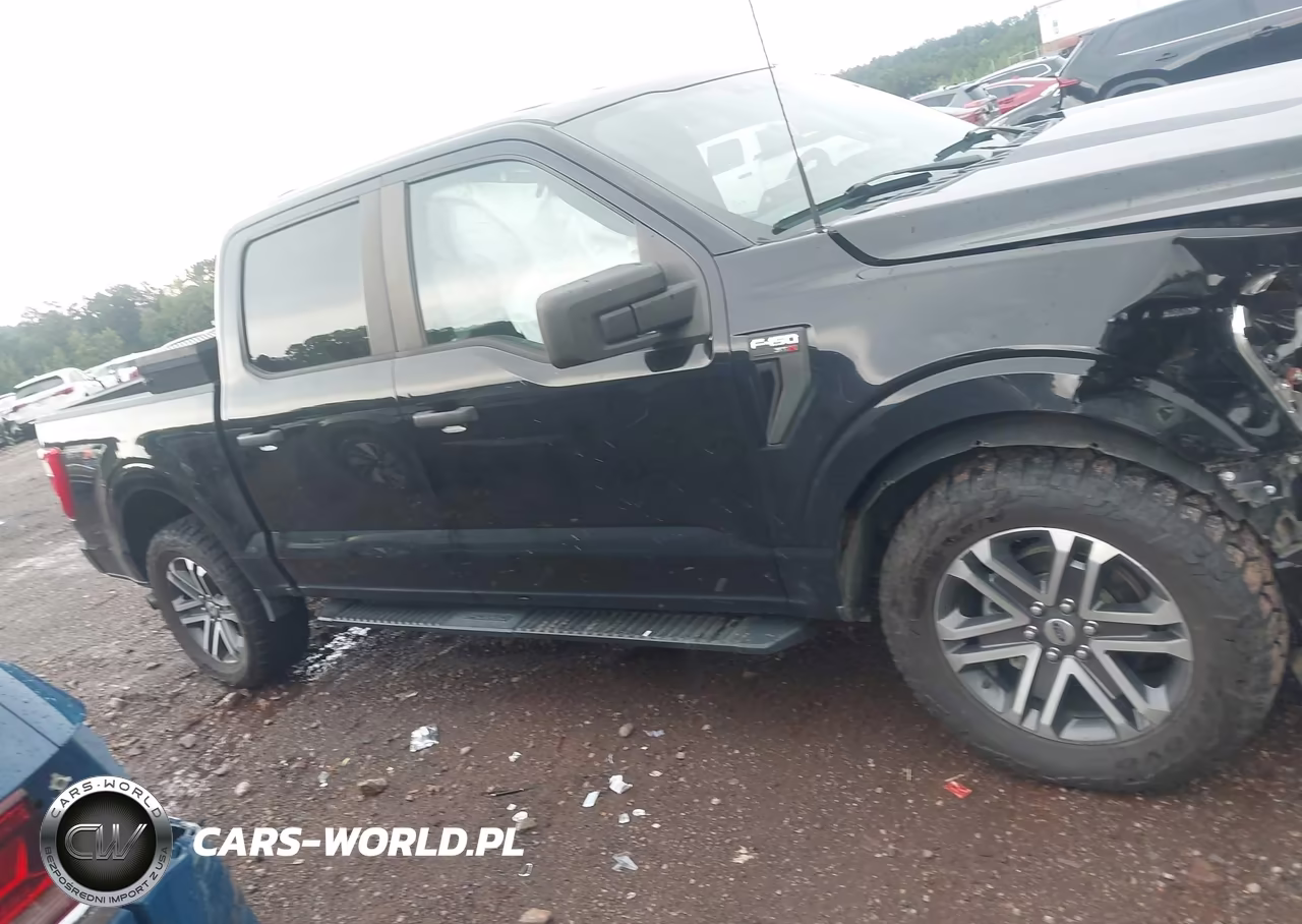2021 Ford F-150 Xl VIN:1FTEW1EP0MFB51276 - 13
