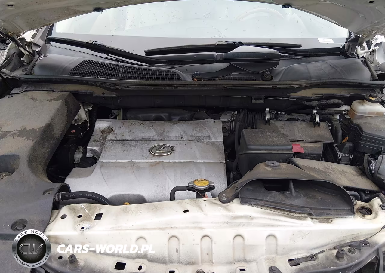 2011 Lexus Rx 350 VIN:JTJZK1BA8B2004833 - 10