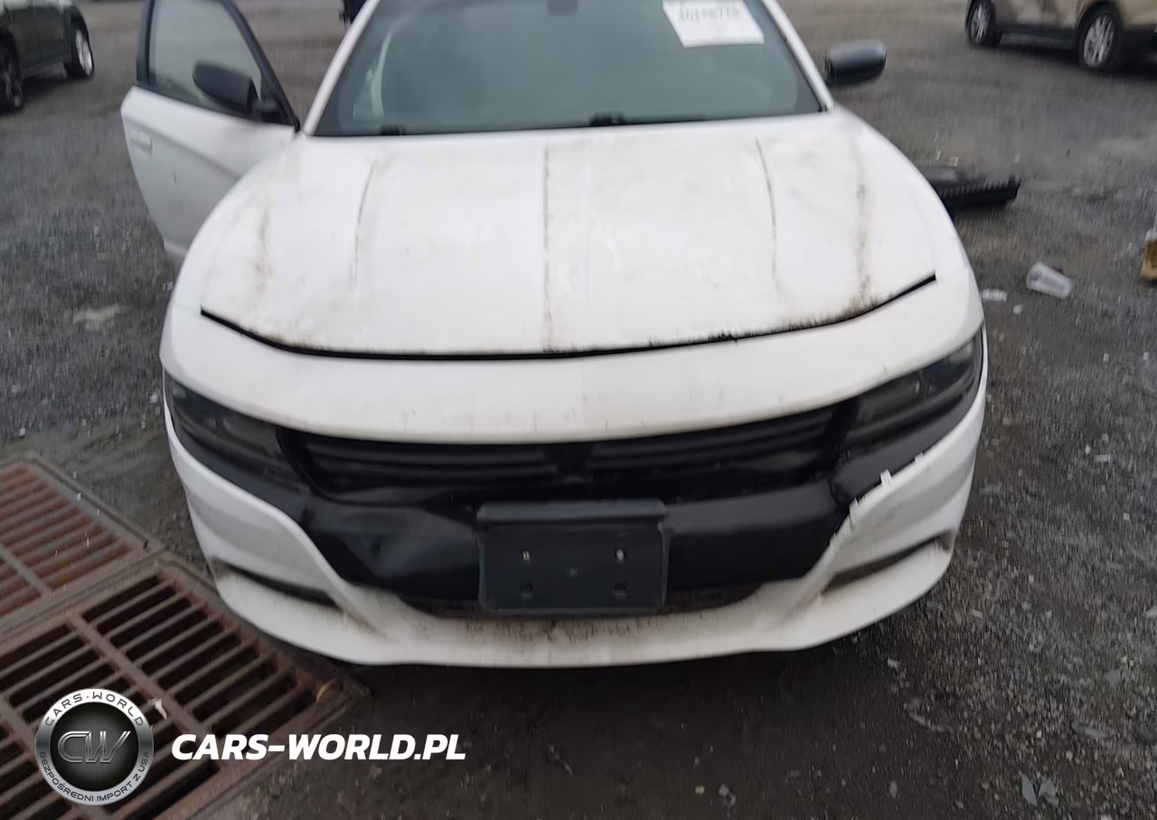 2016 Dodge Charger Se VIN:2C3CDXBG8GH310301 - 12