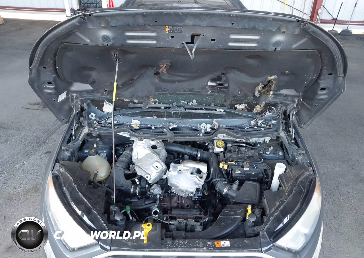2019 Ford Ecosport Se VIN:MAJ3S2GE9KC270369 - 10