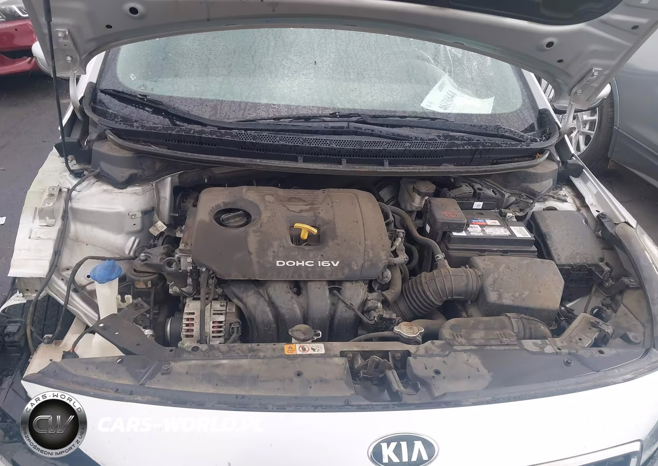 2017 Kia Forte Lx-S VIN:3KPFL4A70HE070847 - 10