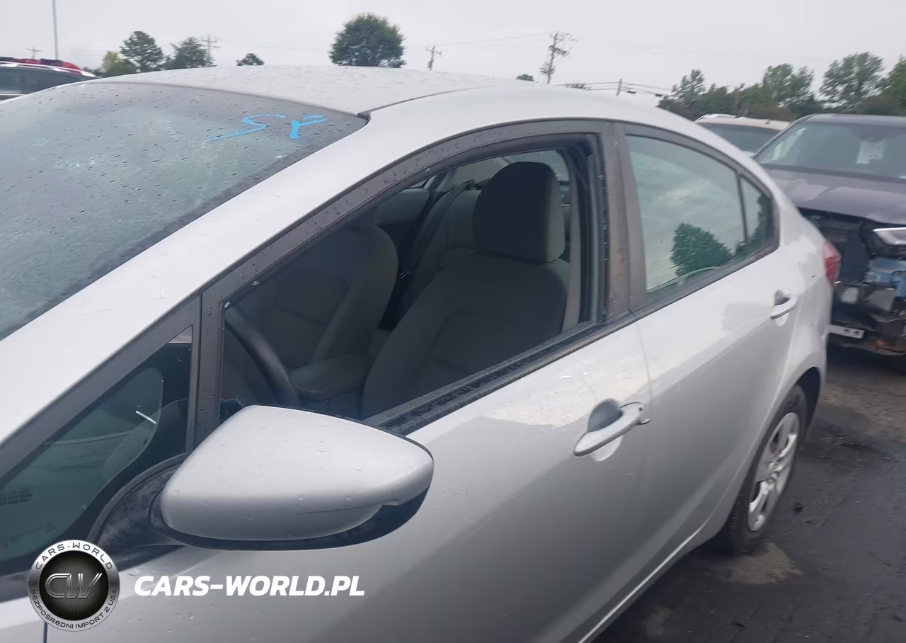 2017 Kia Forte Lx-S VIN:3KPFL4A70HE070847 - 17