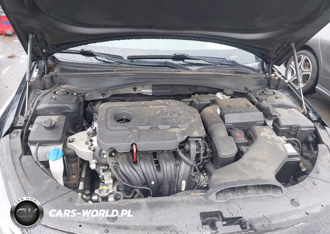 2019 Kia Optima Lx VIN:5XXGT4L39KG343295 - 10