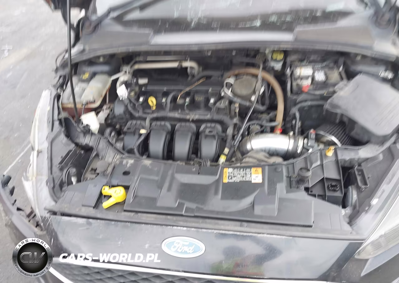 2016 Ford Focus Se VIN:1FADP3K20GL249118 - 10