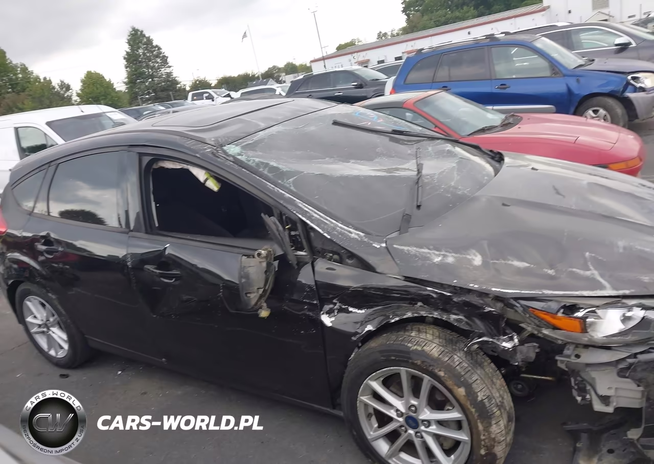 2016 Ford Focus Se VIN:1FADP3K20GL249118 - 12
