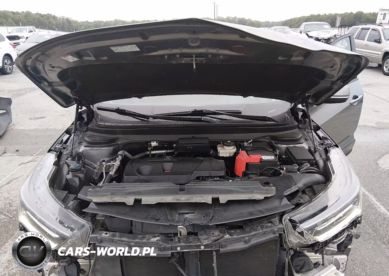 2024 Acura Rdx A-Spec Advance Package VIN:5J8TC2H84RL033106 - 10
