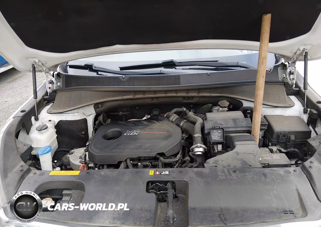 2016 Kia Sorento 2.0T Ex VIN:5XYPHDA11GG022082 - 10