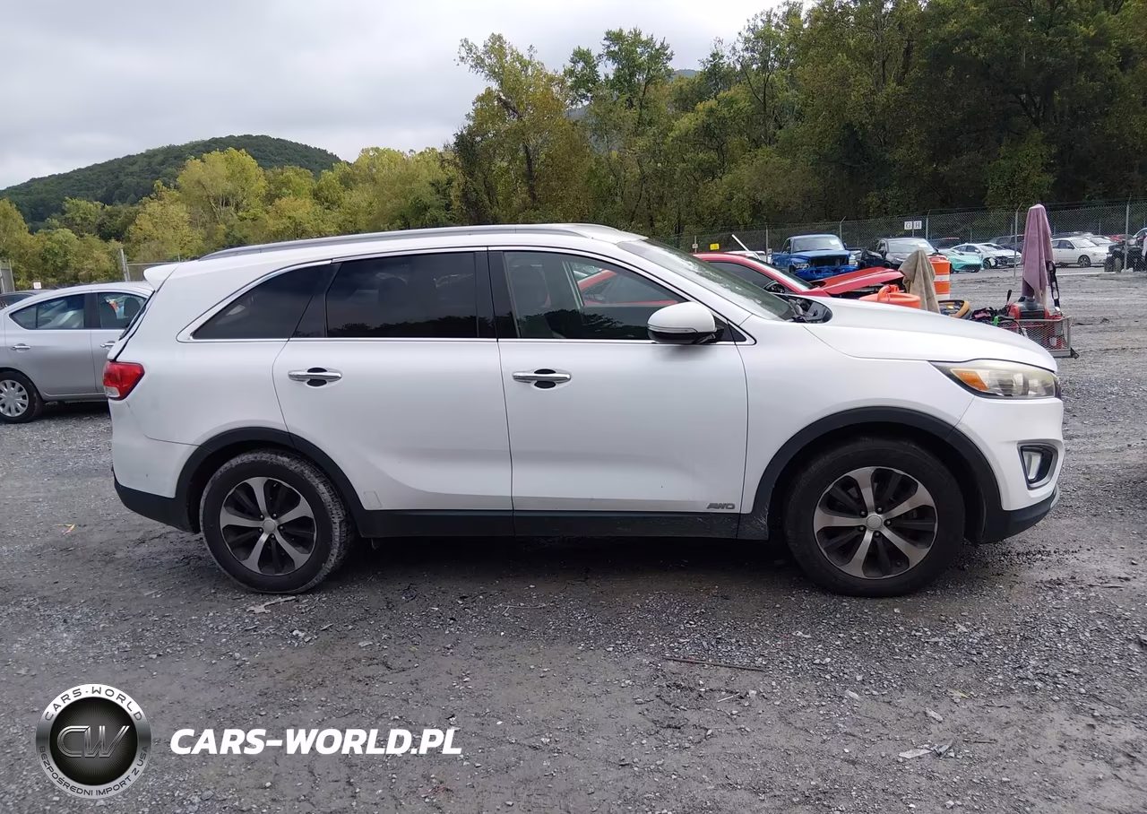 2016 Kia Sorento 2.0T Ex VIN:5XYPHDA11GG022082 - 13