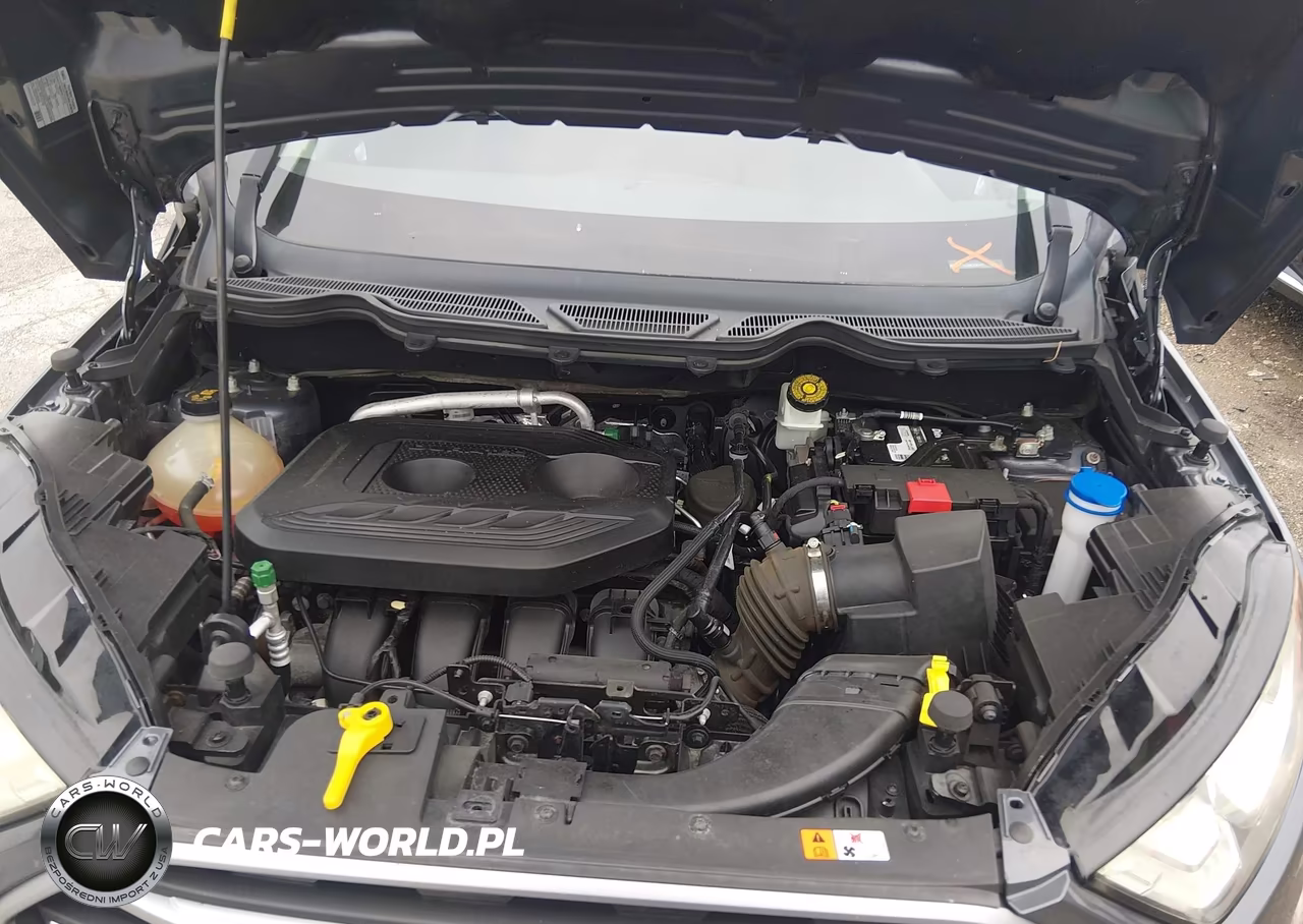 2018 Ford Ecosport Se VIN:MAJ6P1UL0JC225413 - 10