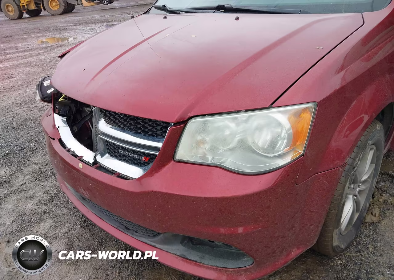 2014 Dodge Grand Caravan Se 30Th Anniversary VIN:2C4RDGBG1ER458822 - 17