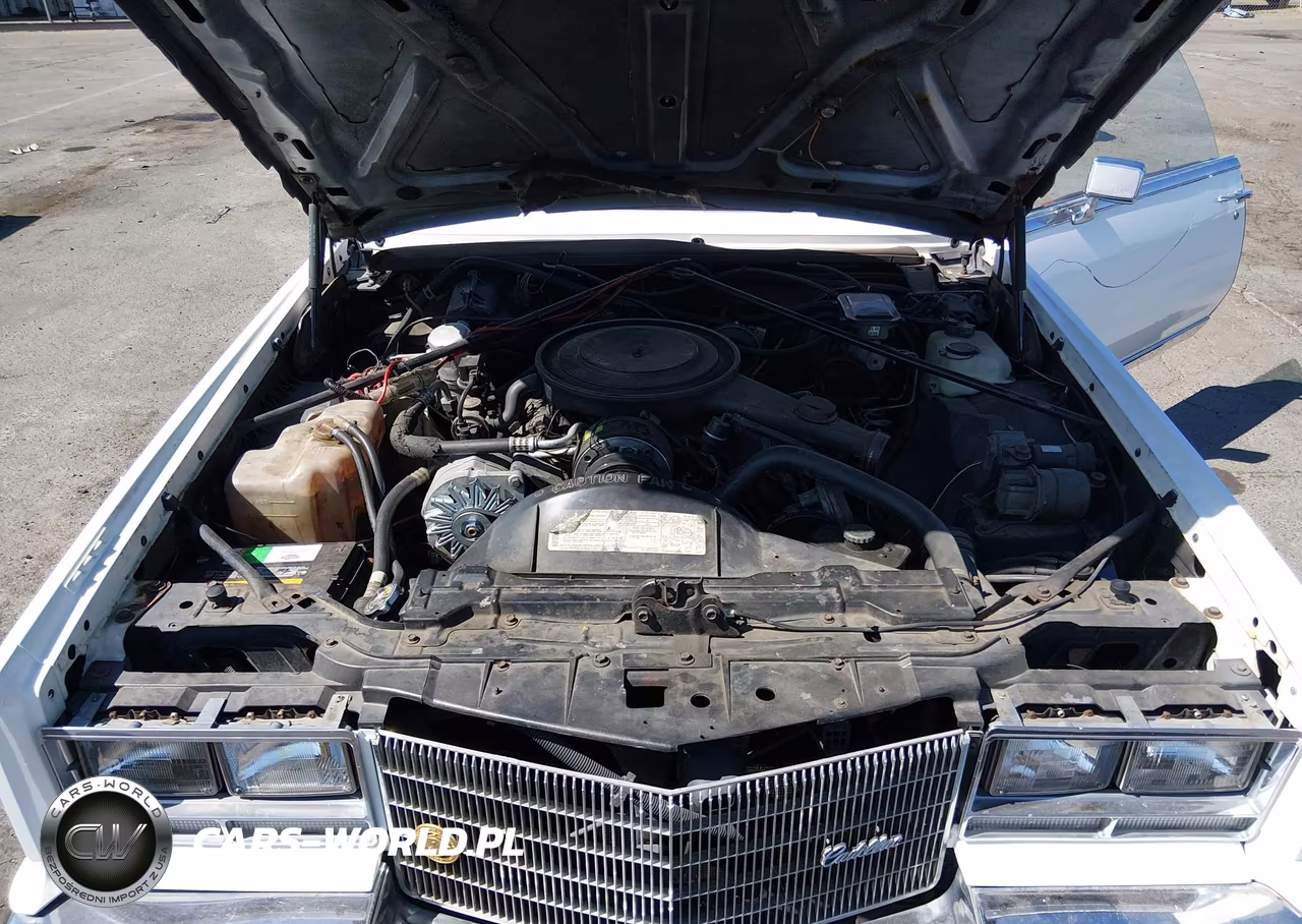 1984 Cadillac Eldorado Biarritz VIN:1G6AL6788EE672976 - 10
