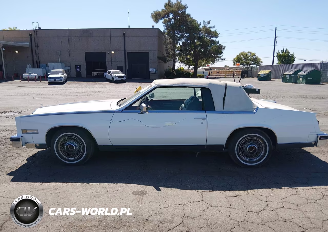 1984 Cadillac Eldorado Biarritz VIN:1G6AL6788EE672976 - 17