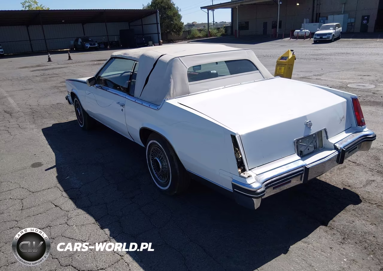 1984 Cadillac Eldorado Biarritz VIN:1G6AL6788EE672976 - 3