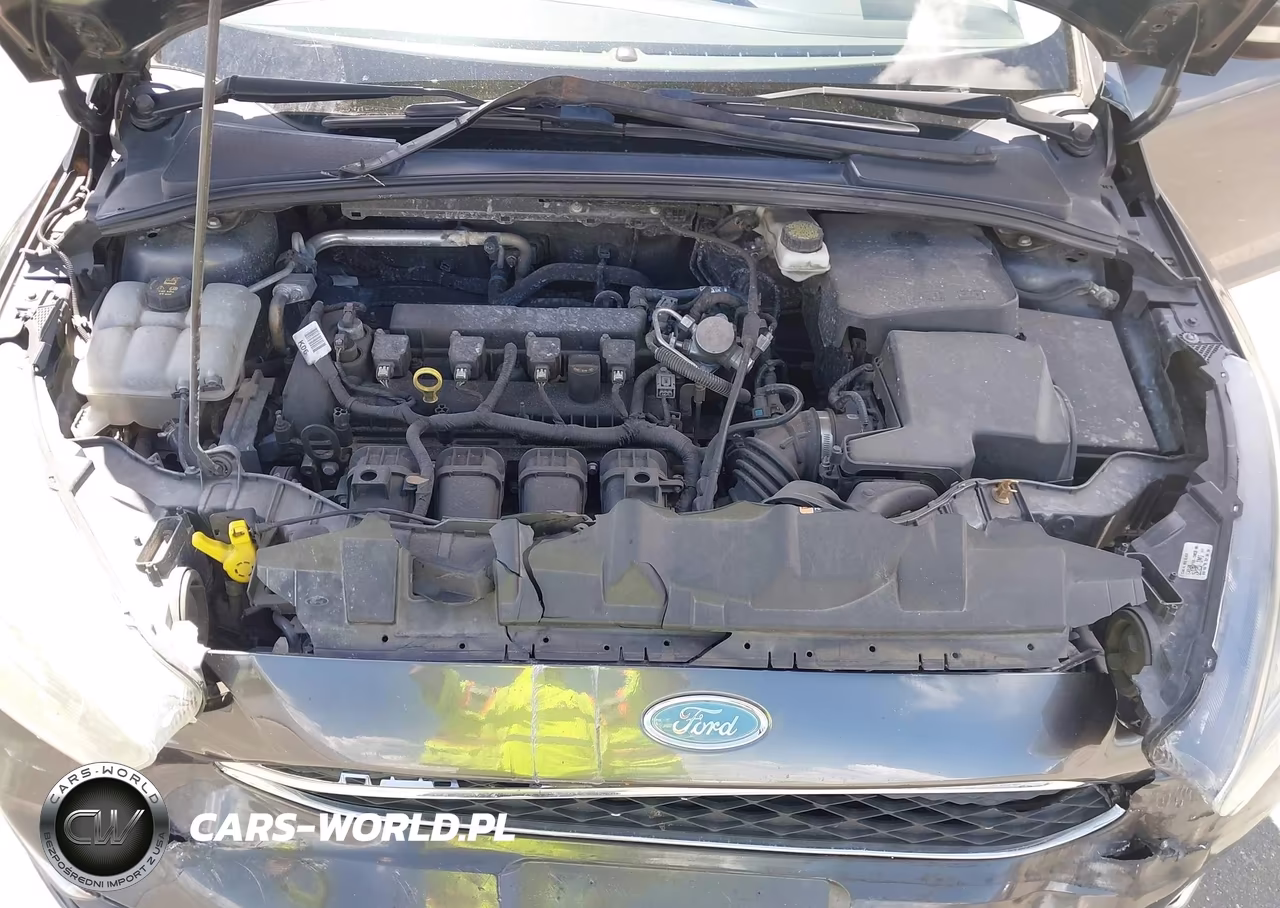 2018 Ford Focus Sel VIN:1FADP3M2XJL308096 - 10