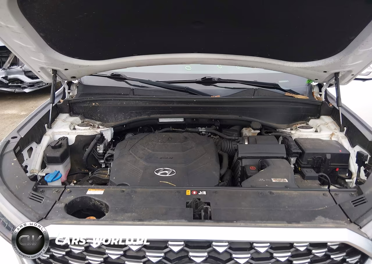 2021 Hyundai Palisade Calligraphy VIN:KM8R7DHE2MU261392 - 10