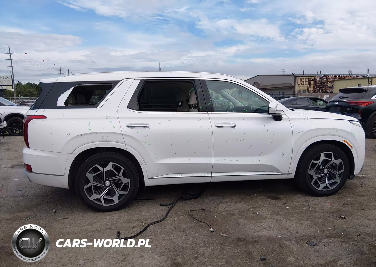 2021 Hyundai Palisade Calligraphy VIN:KM8R7DHE2MU261392 - 13