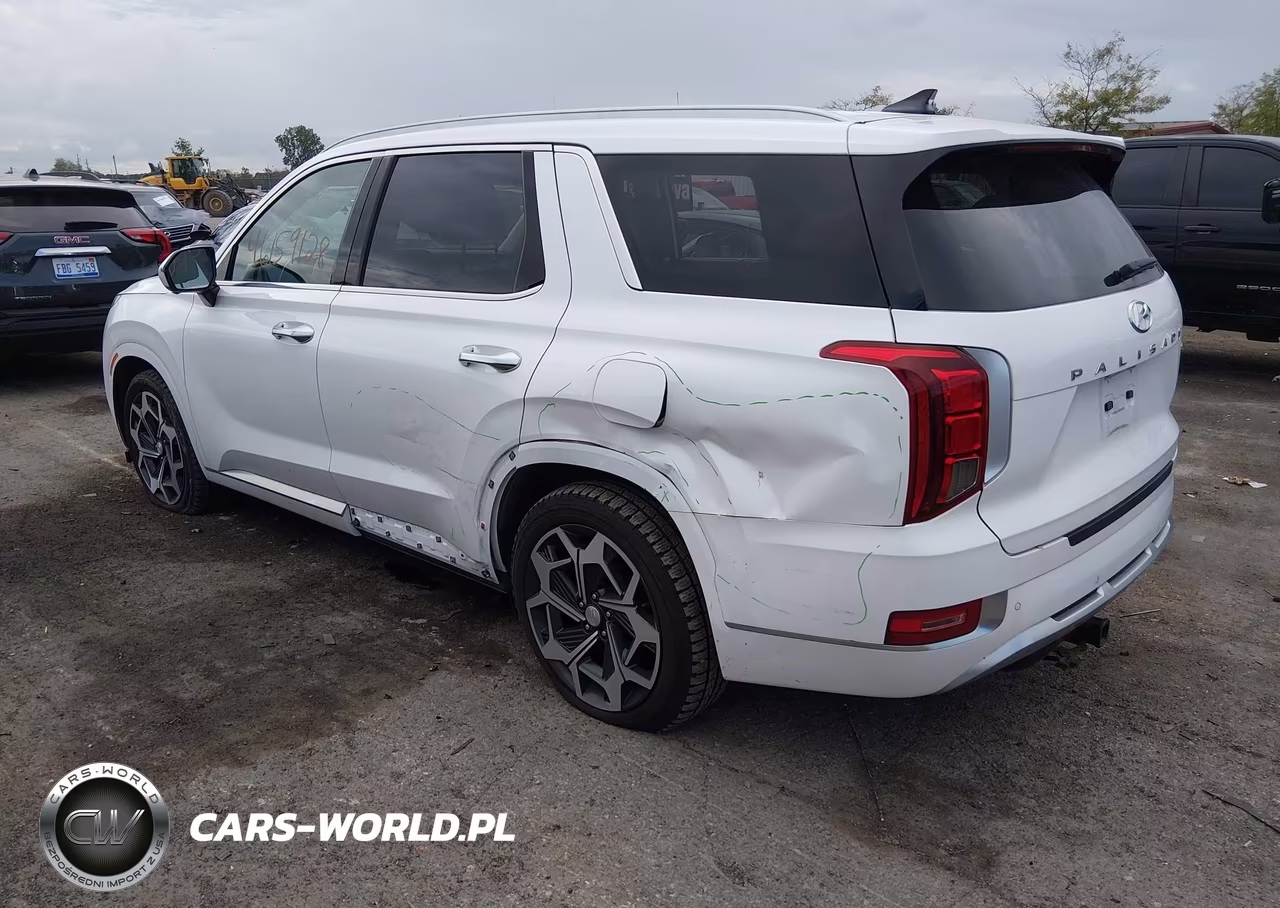 2021 Hyundai Palisade Calligraphy VIN:KM8R7DHE2MU261392 - 3