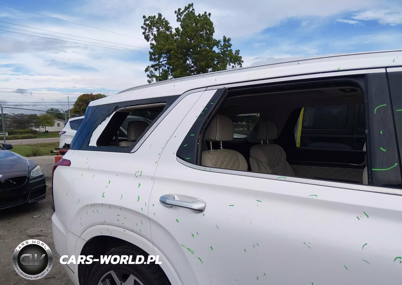 2021 Hyundai Palisade Calligraphy VIN:KM8R7DHE2MU261392 - 6