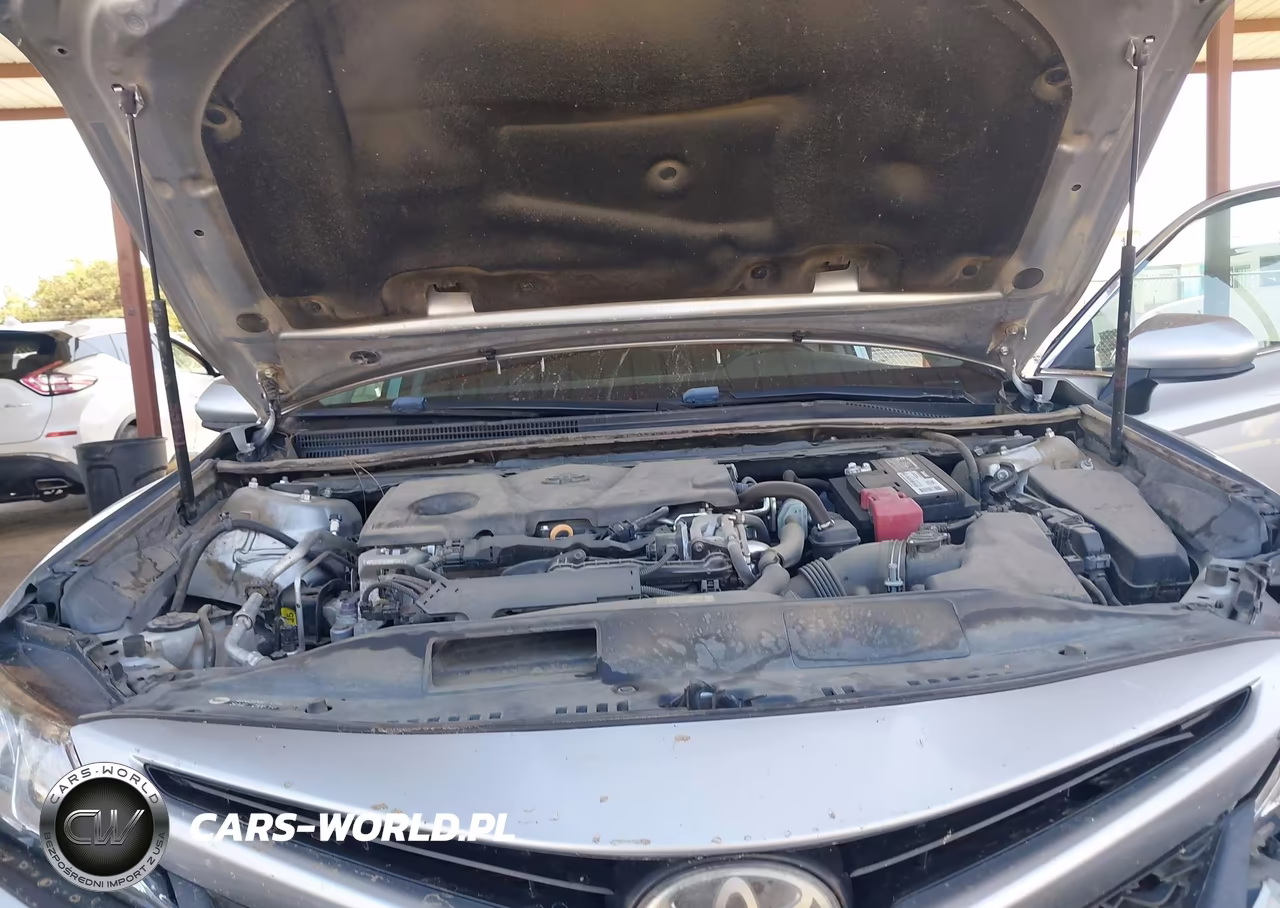2020 Toyota Camry Se VIN:4T1G11AK5LU925173 - 10