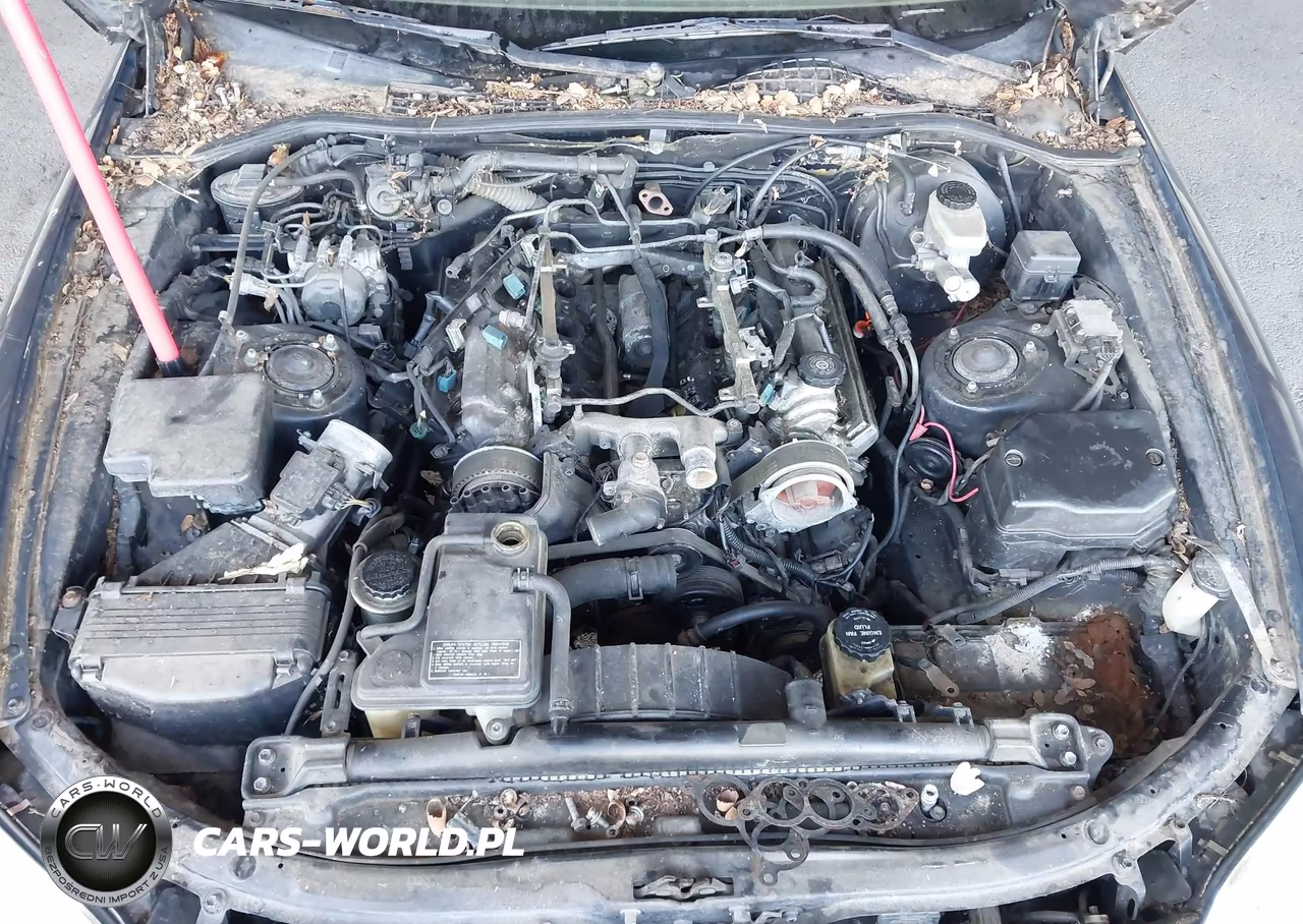 1995 Lexus Sc 400 VIN:JT8UZ30C3S0044448 - 10