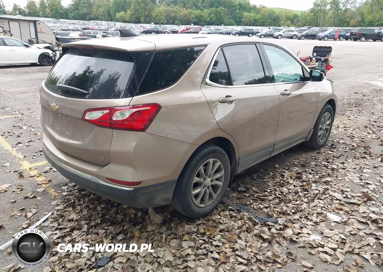 2019 Chevrolet Equinox Lt VIN:2GNAXKEV1K6203903 - 4
