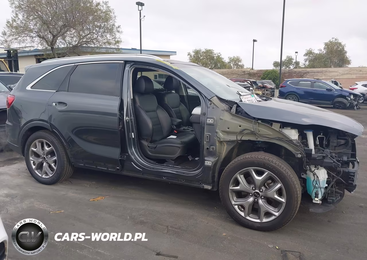 2019 Kia Sorento 3.3L Ex Sport VIN:5XYPH4A50KG604704 - 14