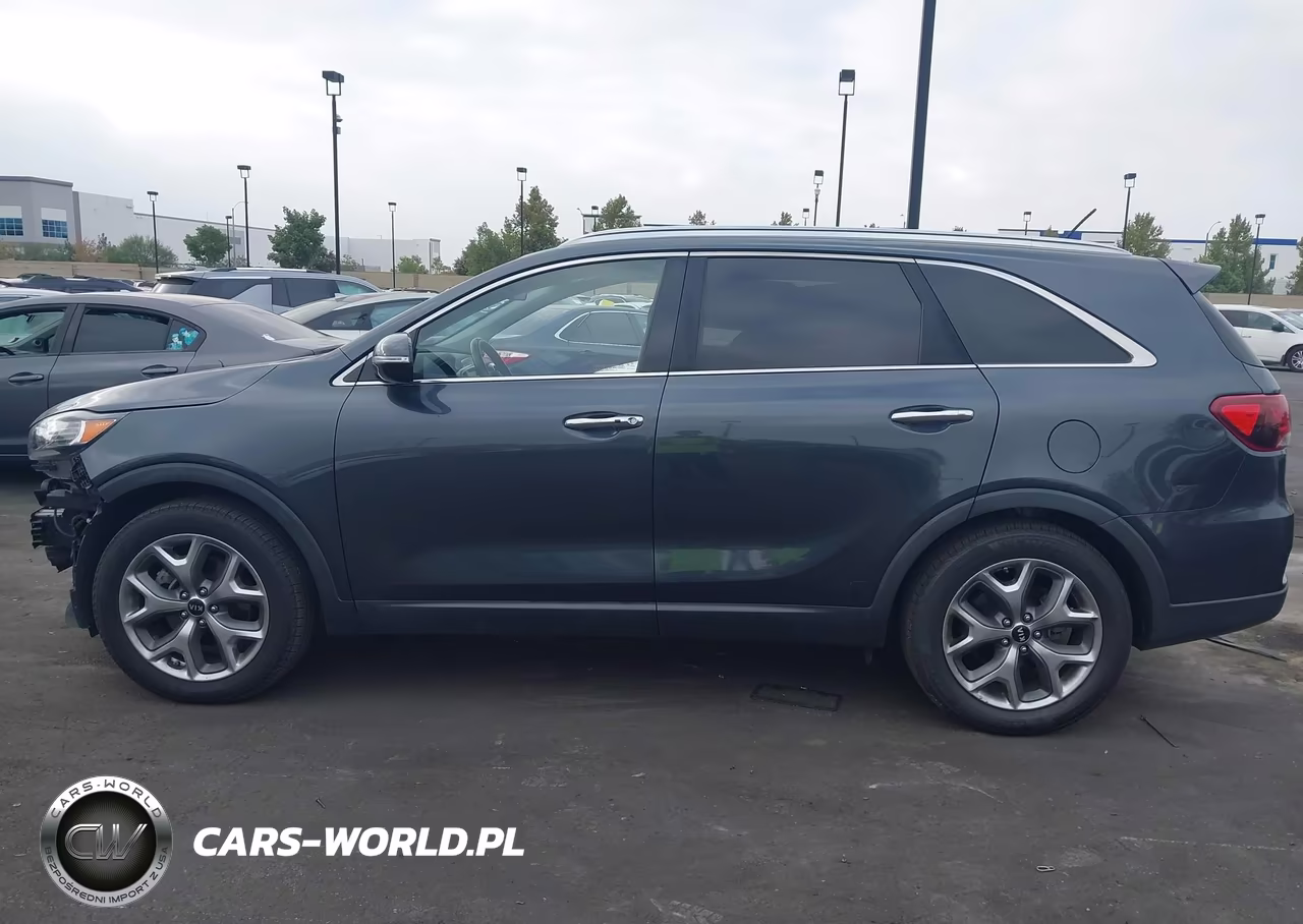 2019 Kia Sorento 3.3L Ex Sport VIN:5XYPH4A50KG604704 - 15