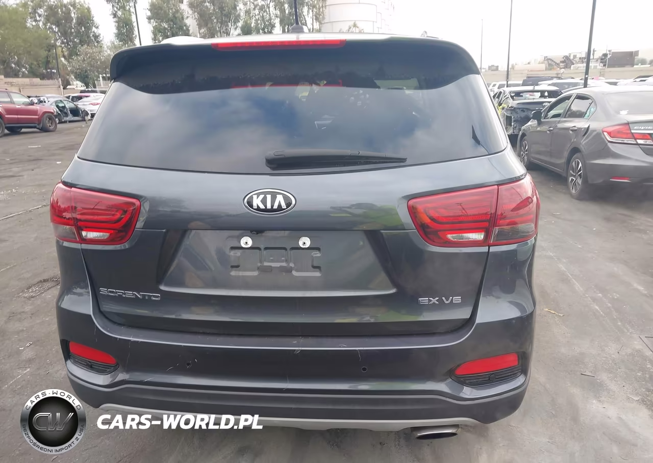 2019 Kia Sorento 3.3L Ex Sport VIN:5XYPH4A50KG604704 - 17