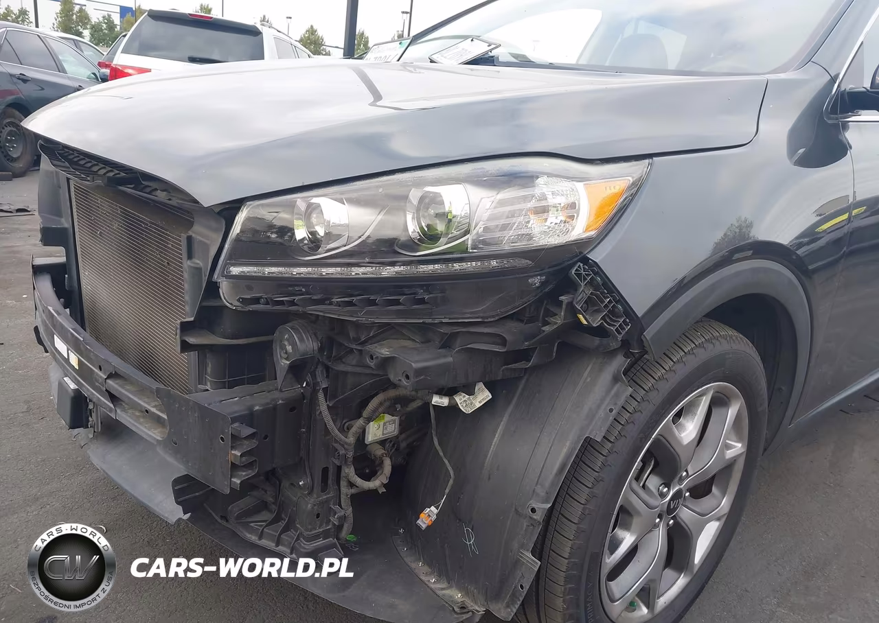 2019 Kia Sorento 3.3L Ex Sport VIN:5XYPH4A50KG604704 - 20