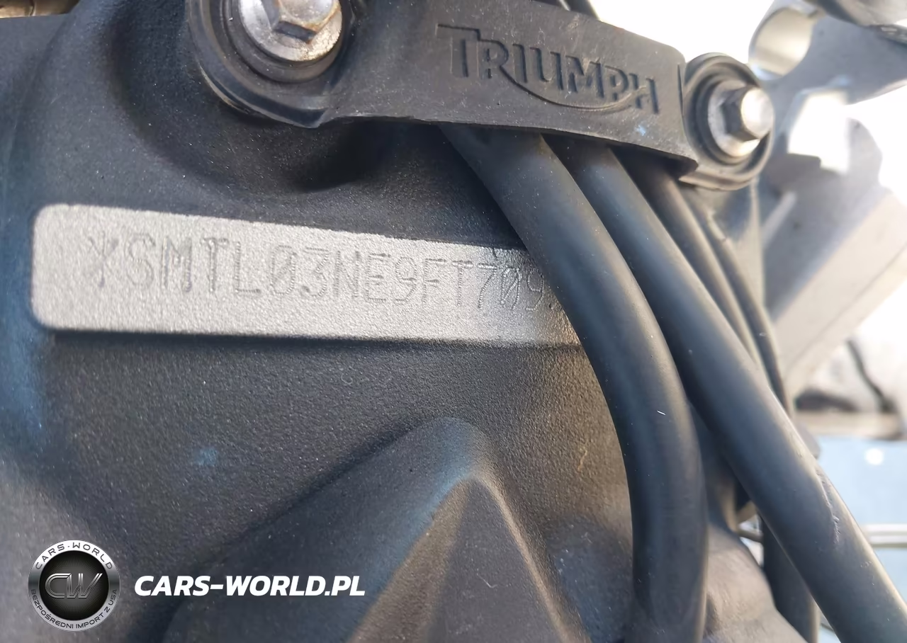 2015 Triumph Motorcycle Street Triple R VIN:SMTL03NE9FT709375 - 10