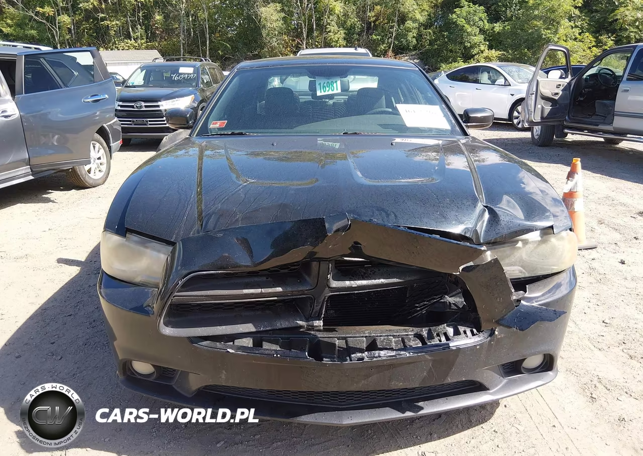 2013 Dodge Charger R-T VIN:2C3CDXCTXDH516436 - 12