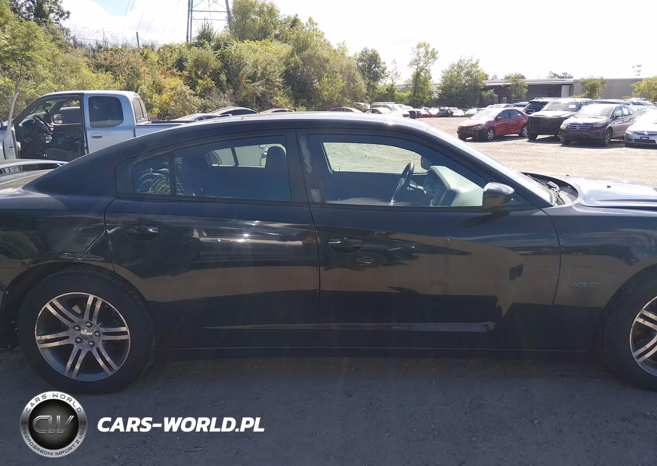 2013 Dodge Charger R-T VIN:2C3CDXCTXDH516436 - 13